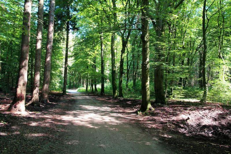 Chalet 'T Veluws Stulpje "Geniet, Ontspan En Droom Even Lekker Weg!" Putten Luaran gambar